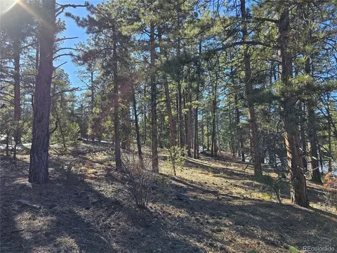 R Path, Cotopaxi, CO 81223 photo 9