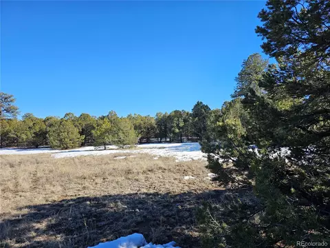 R Path, Cotopaxi, CO 81223 photo 19