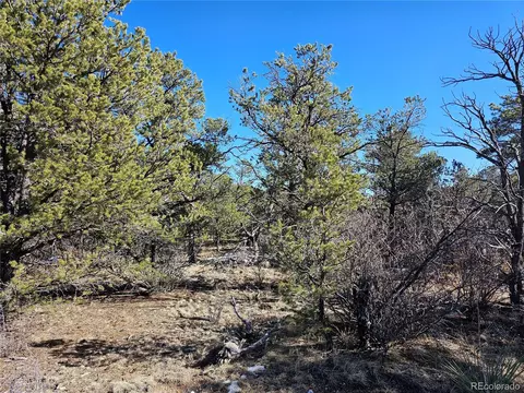R Path, Cotopaxi, CO 81223 photo 21
