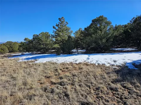 R Path, Cotopaxi, CO 81223 photo 30