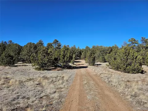 R Path, Cotopaxi, CO 81223 photo 4