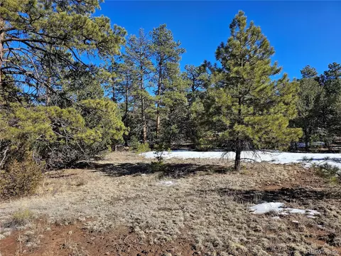 R Path, Cotopaxi, CO 81223 photo 14
