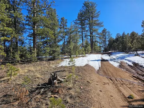 R Path, Cotopaxi, CO 81223 photo 16