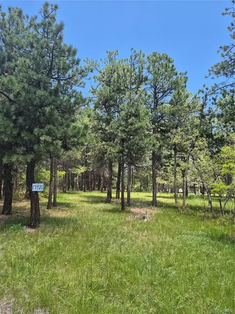19420 Glen Cannon Way, Monument, CO 80132