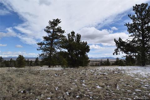 3530 Singletree Rd, Hartsel, CO 80449 photo 4