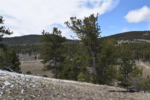 3530 Singletree Rd, Hartsel, CO 80449 photo 6