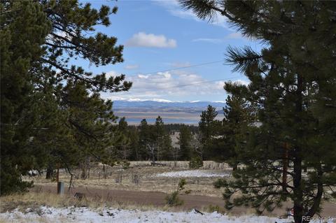 3530 Singletree Rd, Hartsel, CO 80449 photo 2