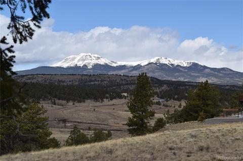 3530 Singletree Rd, Hartsel, CO 80449 photo 1