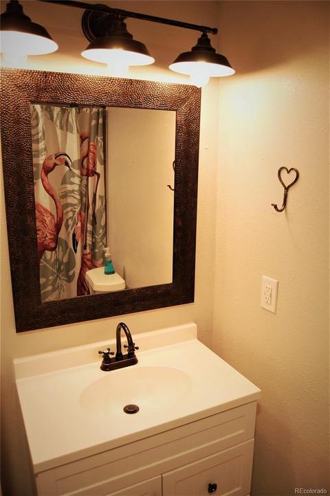 19351 E 40th Pl, Denver, CO 80249 photo 27