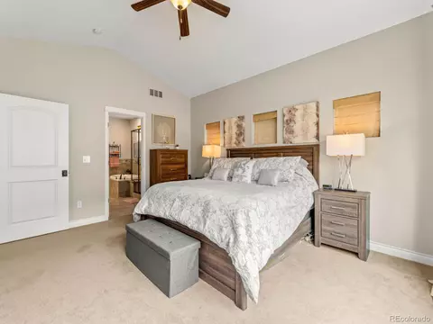 11621 Colony Loop, Parker, CO 80138 photo 29