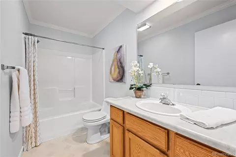 Bath - 216 Nero Rd, Black Hawk, CO 80422 photo 3 of 3