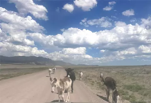 Parrot Drive, Alamosa, CO 81101