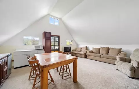Other - 229 Mcdougal Rd, Bailey, CO 80421 photo 11 of 12