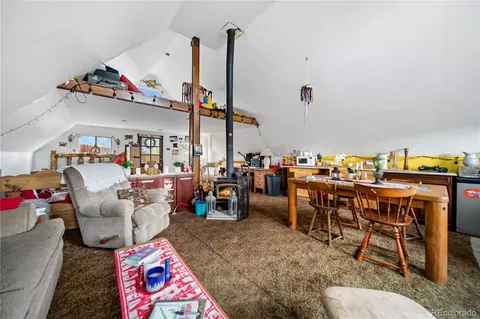 Other - 229 Mcdougal Rd, Bailey, CO 80421 photo 10 of 11