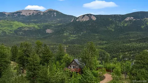 Other - 229 Mcdougal Rd, Bailey, CO 80421 photo 6 of 11