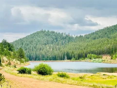 View/Area - 229 Mcdougal Rd, Bailey, CO 80421 photo 2 of 4