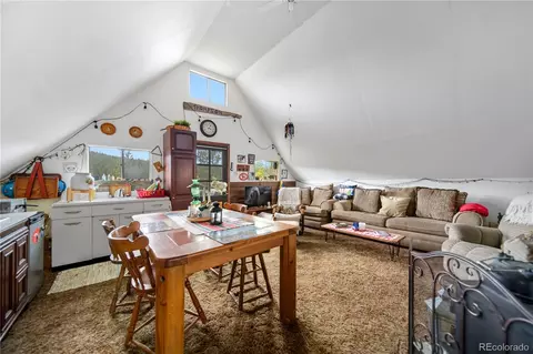 Other - 229 Mcdougal Rd, Bailey, CO 80421 photo 9 of 11