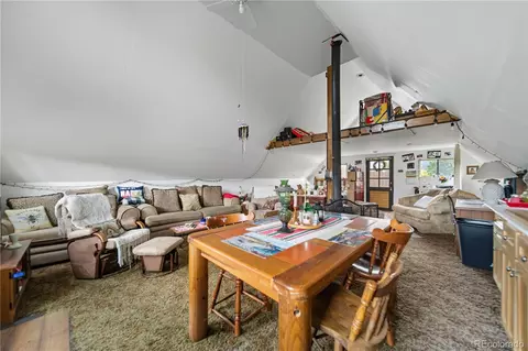 Other - 229 Mcdougal Rd, Bailey, CO 80421 photo 8 of 11