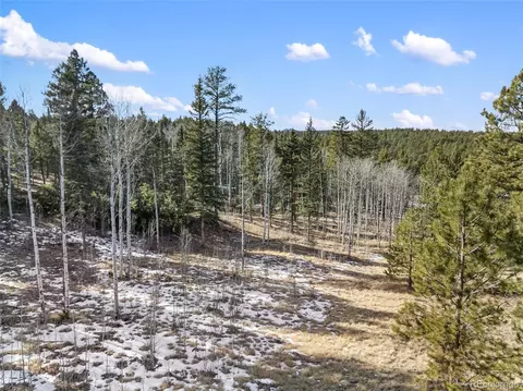 lot20 A Echo Lake Dr, Lake George, CO 80827