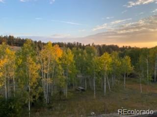 465 Bluebird Ln, Bailey, CO 80421 photo 31