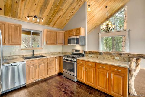 465 Bluebird Ln, Bailey, CO 80421 photo 10