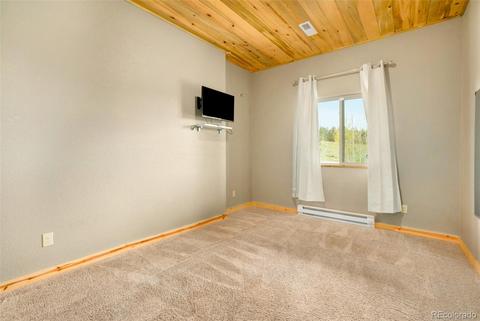 465 Bluebird Ln, Bailey, CO 80421 photo 23