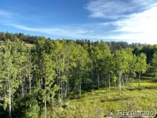 465 Bluebird Ln, Bailey, CO 80421 photo 6