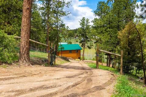 465 Bluebird Ln, Bailey, CO 80421 photo 26