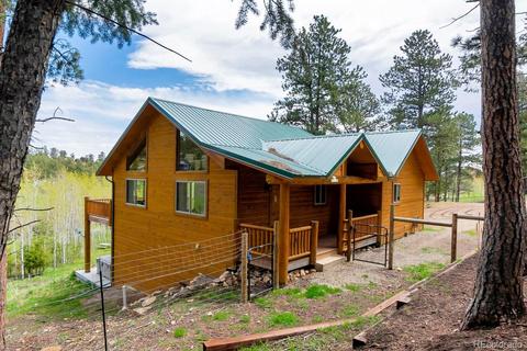 465 Bluebird Ln, Bailey, CO 80421 photo 1