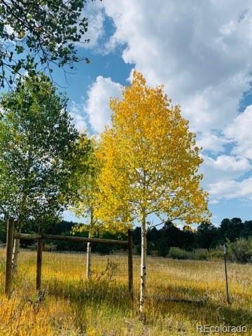465 Bluebird Ln, Bailey, CO 80421 photo 32