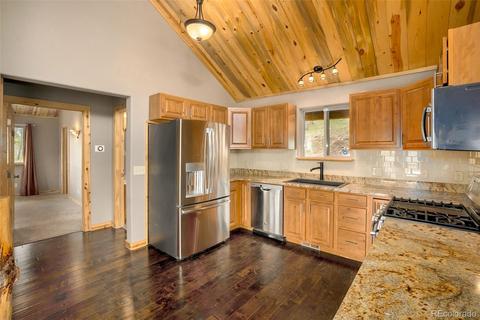465 Bluebird Ln, Bailey, CO 80421 photo 12
