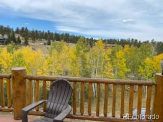 465 Bluebird Ln, Bailey, CO 80421 photo 34