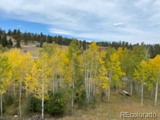 465 Bluebird Ln, Bailey, CO 80421 photo 33