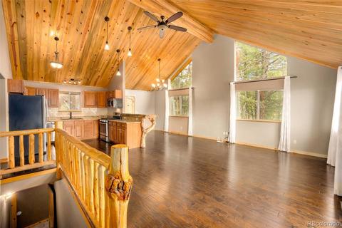 465 Bluebird Ln, Bailey, CO 80421 photo 9