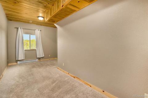 465 Bluebird Ln, Bailey, CO 80421 photo 21