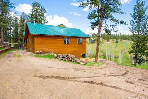 465 Bluebird Ln, Bailey, CO 80421 photo 3