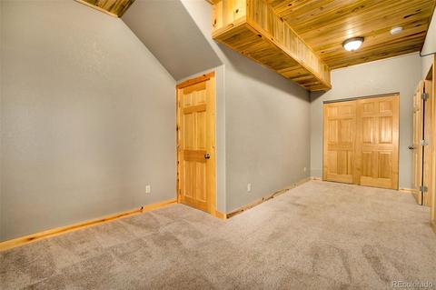 465 Bluebird Ln, Bailey, CO 80421 photo 20