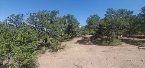 lot1412 Michaels Rd, Fort Garland, CO 81133