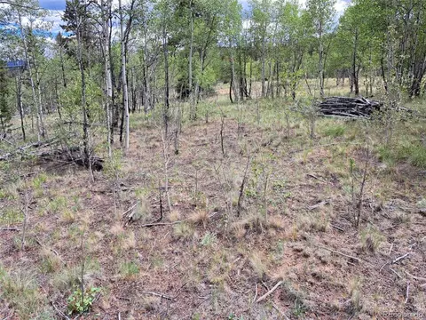 6242 Remington Rd, Como, CO 80432 photo 8