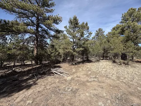 262 Harmon Dr, Cotopaxi, CO 81223 photo 9