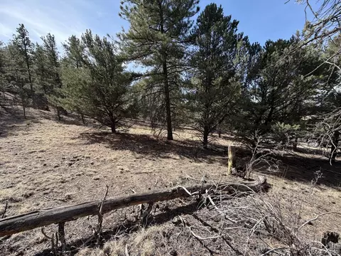 262 Harmon Dr, Cotopaxi, CO 81223 photo 12