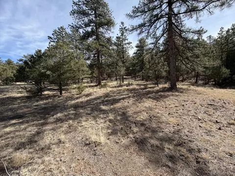 262 Harmon Dr, Cotopaxi, CO 81223 photo 17