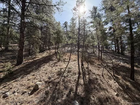262 Harmon Dr, Cotopaxi, CO 81223 photo 19