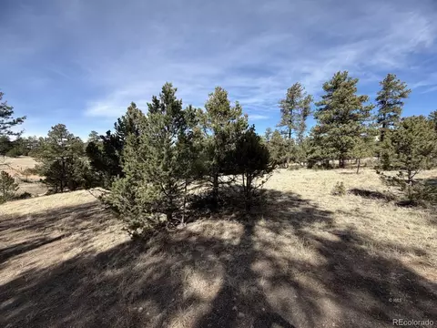 262 Harmon Dr, Cotopaxi, CO 81223 photo 15
