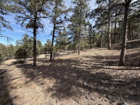 262 Harmon Dr, Cotopaxi, CO 81223 photo 27