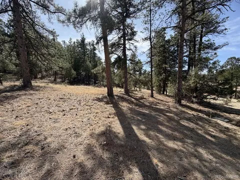 262 Harmon Dr, Cotopaxi, CO 81223 photo 16