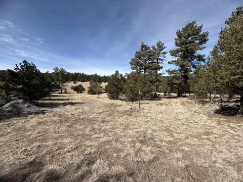 262 Harmon Dr, Cotopaxi, CO 81223 photo 13