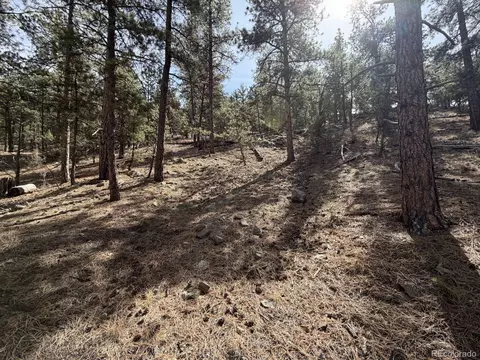 262 Harmon Dr, Cotopaxi, CO 81223 photo 25