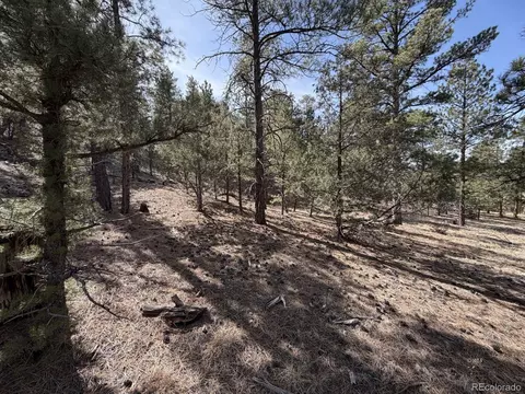 262 Harmon Dr, Cotopaxi, CO 81223 photo 5