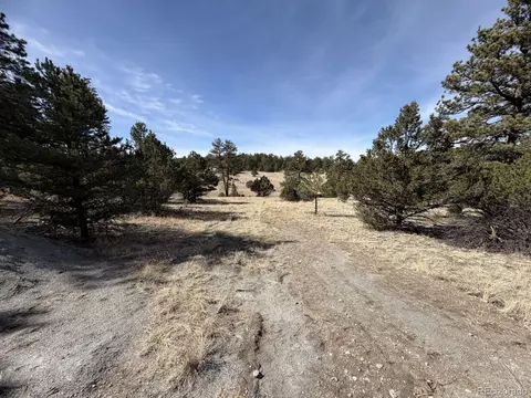262 Harmon Dr, Cotopaxi, CO 81223 photo 14